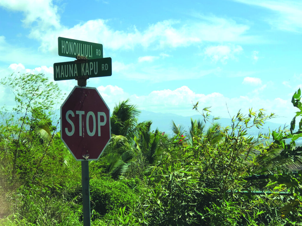 Kunia Loa Ridge Farmland, khu dân cư mới của người Việt tại Hawaii