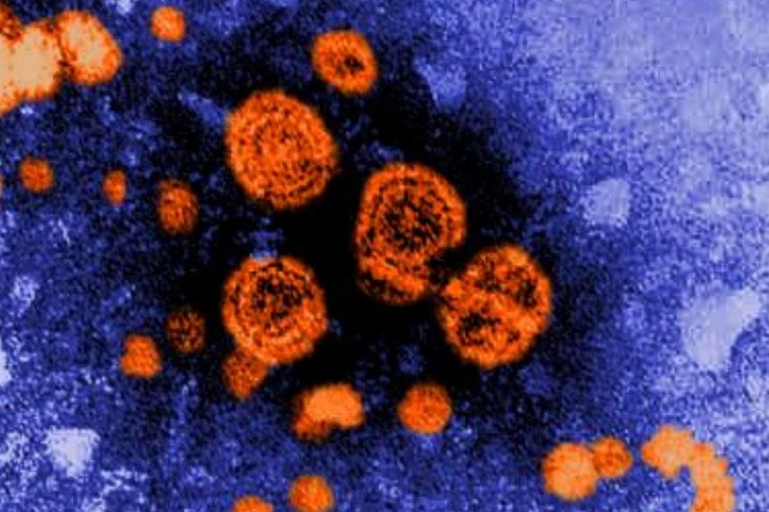 Ít nhất 10 trẻ đã qua đời vì bệnh viêm gan bí ẩn mới bùng phát. Ảnh: CDC.